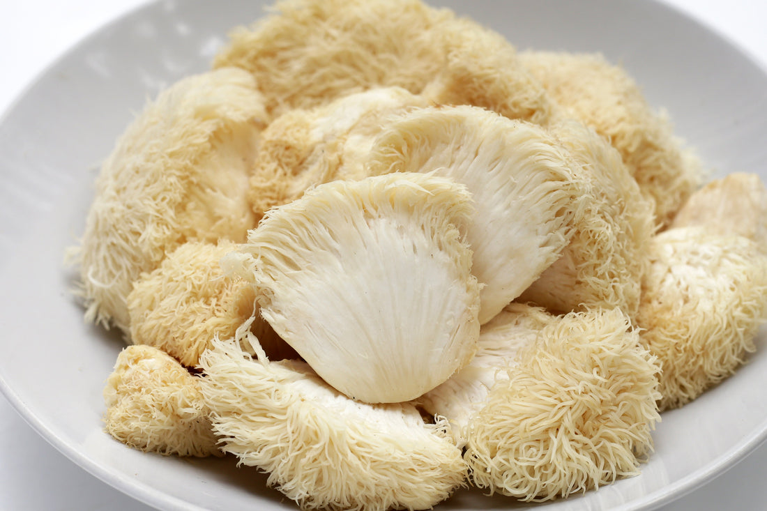 Para que sirve la Melena de Leon?