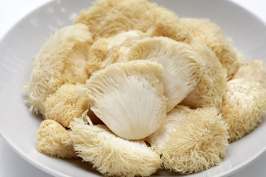 Para que sirve la Melena de Leon?