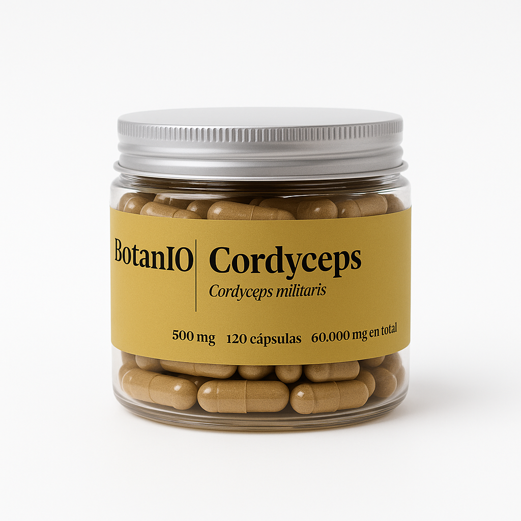 Cordyceps