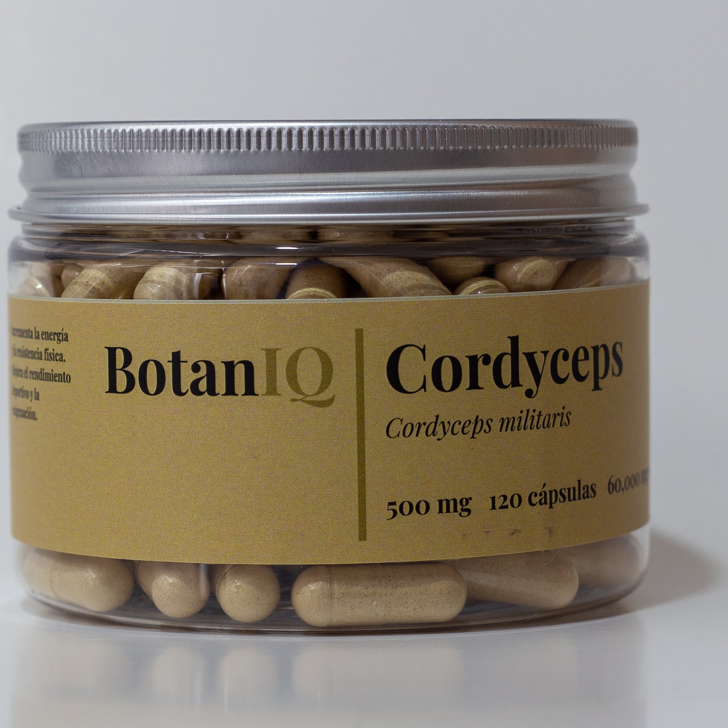 Cordyceps